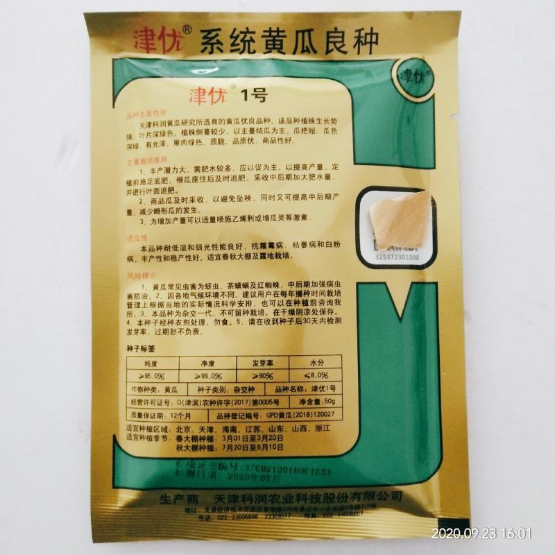 黄瓜种子油亮型皇黄瓜品种种子杂交品种青皮青瓤种子