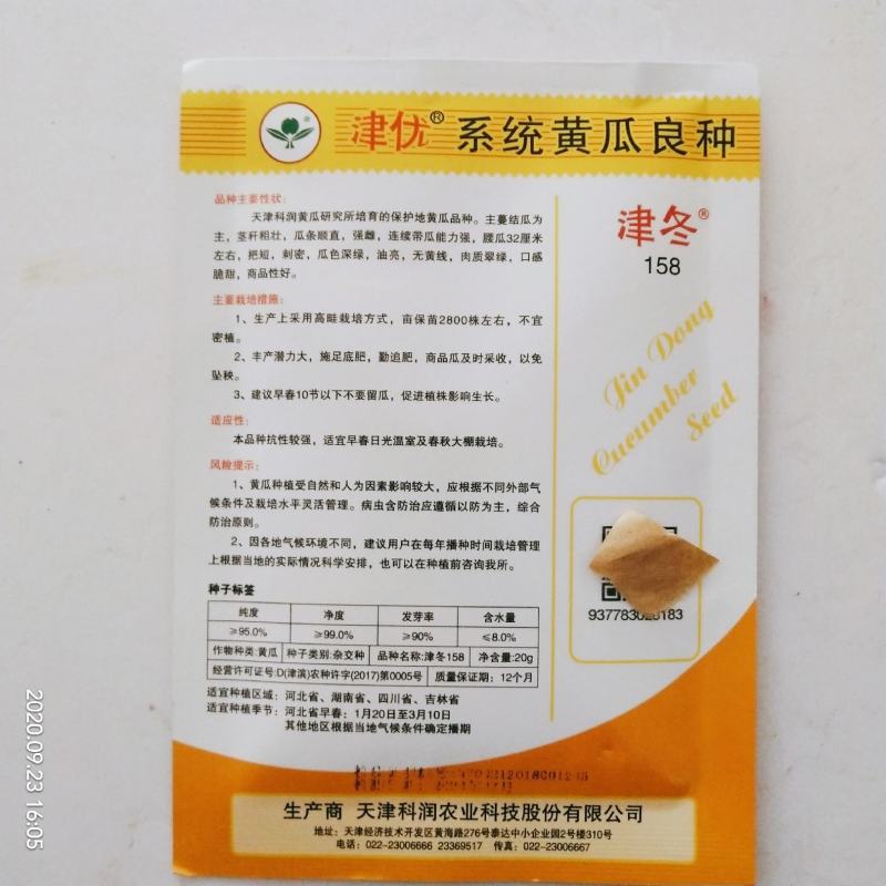 黄瓜种子油亮型皇黄瓜品种种子杂交品种青皮青瓤种子