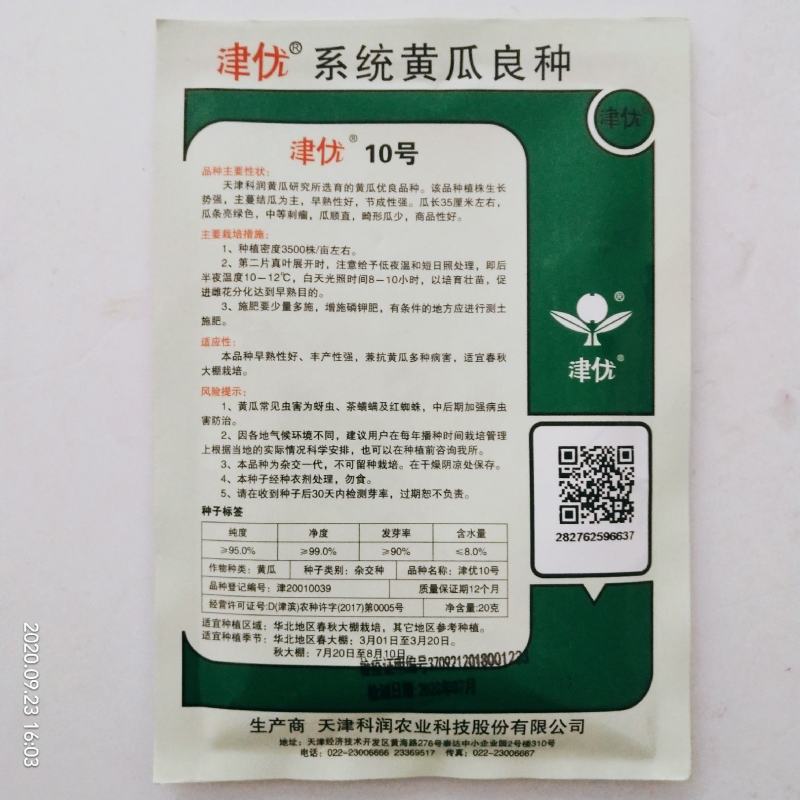 黄瓜种子油亮型皇黄瓜品种种子杂交品种青皮青瓤种子