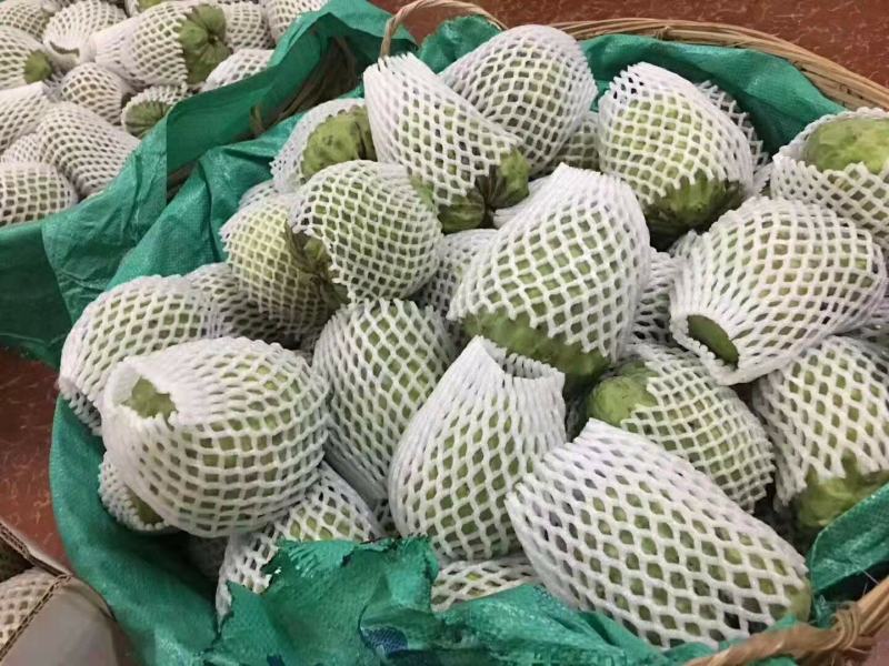 凤梨释迦果释迦特优品种特级大果5斤净重3个现货秒发