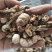 竹黄竹花竹茧保庆药业批发竹花实物拍摄！发货如图