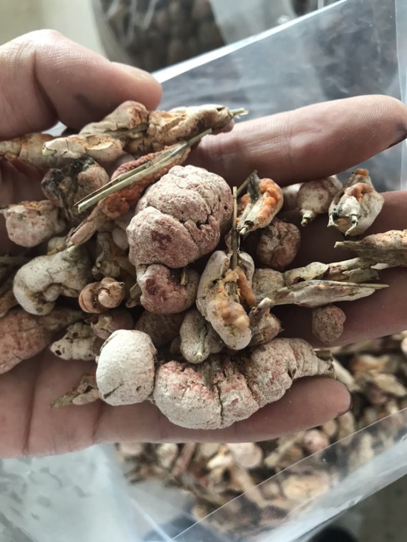 竹黄竹花竹茧保庆药业批发竹花实物拍摄！发货如图