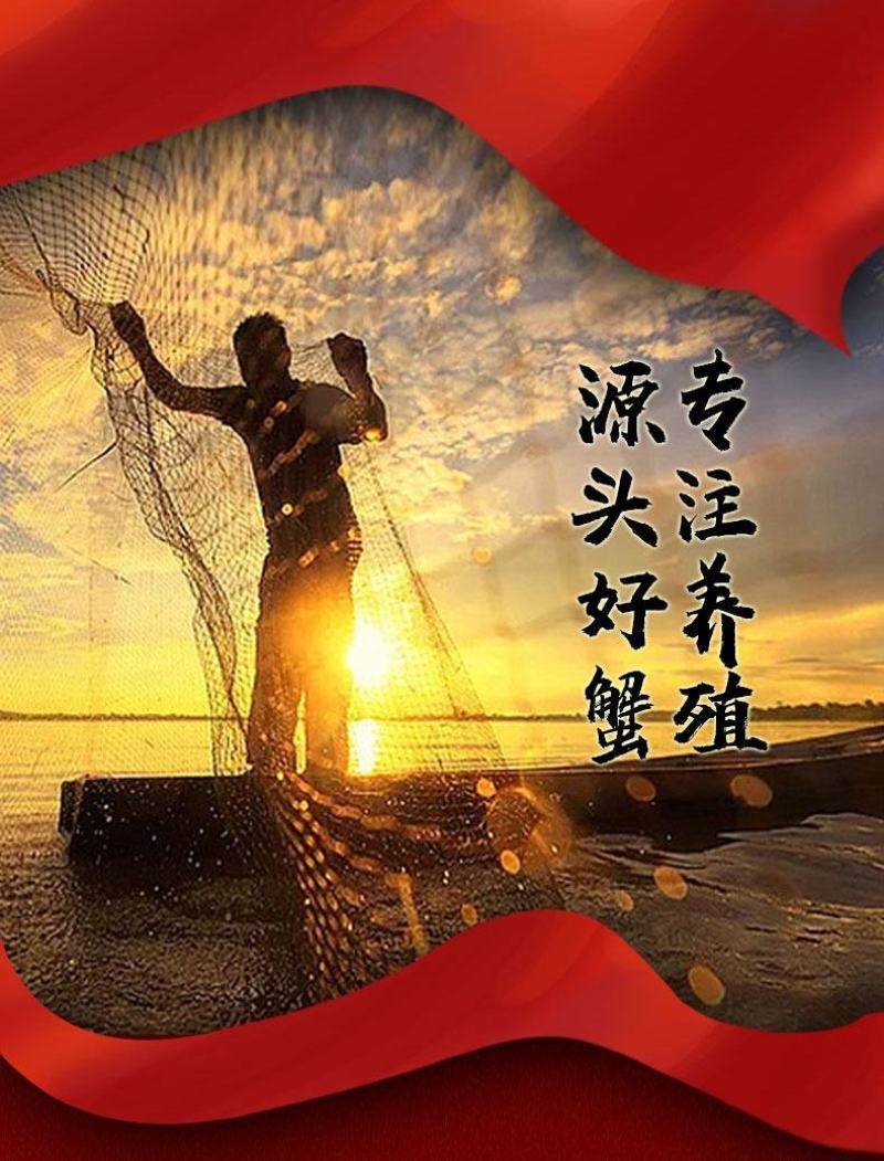 阳澄湖镇大闸蟹鲜活海鲜水产特大超大闸蟹礼盒包邮