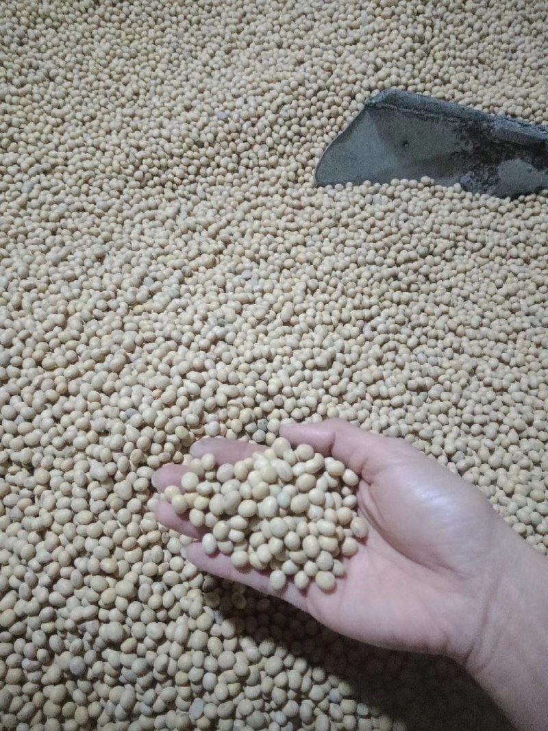 纯黄豆，无添加剂，山泉水油炸腐竹