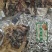 牛副产品，厂家直销，质量保证！