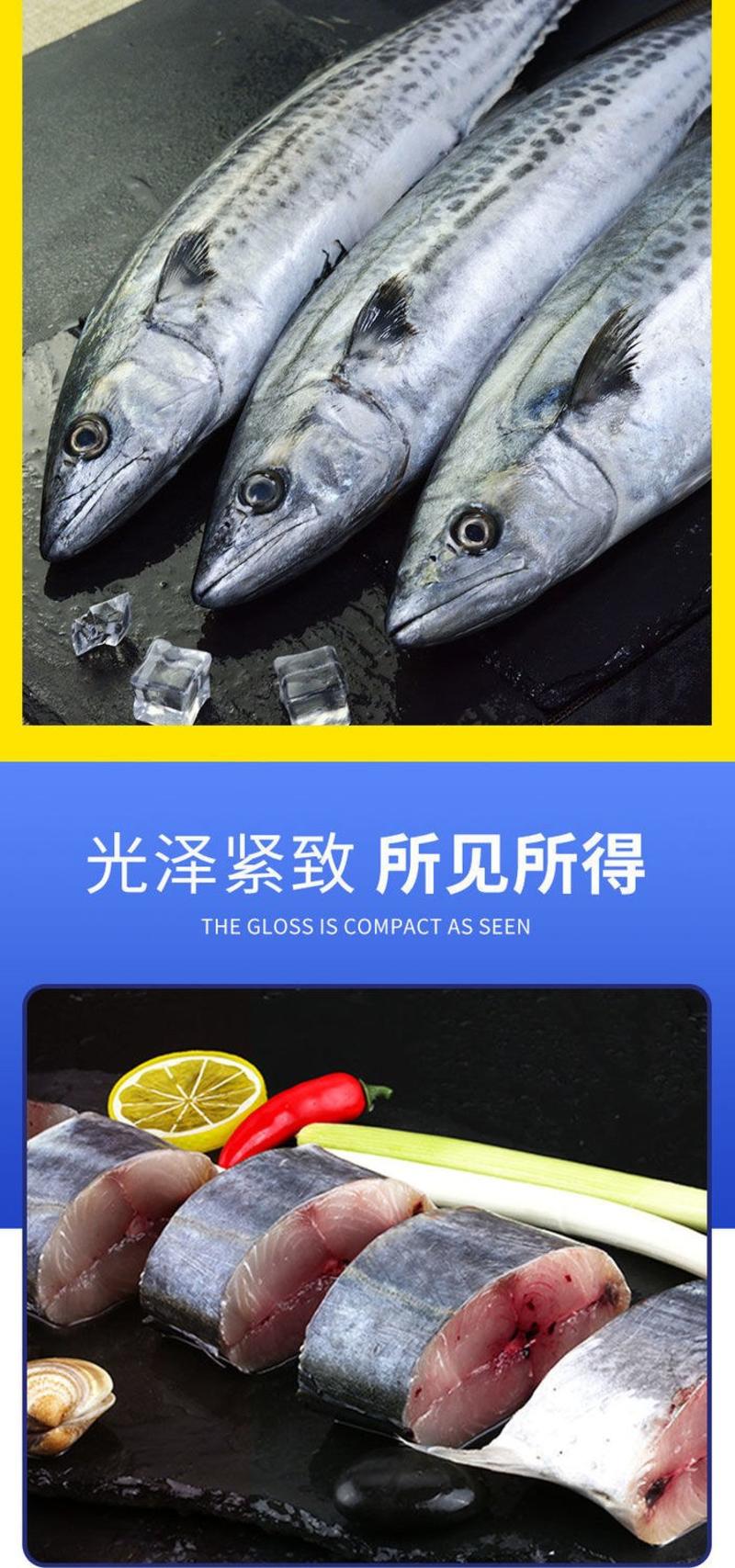 青岛大鲅鱼新鲜冷冻鲜活燕鲅鱼大马鲛鱼馅饺子深海鱼