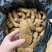 鲜天麻大量上市，地摊菜市热卖零售批发价格美丽质量保证