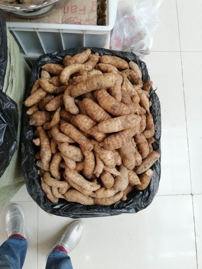 鲜天麻大量上市，地摊菜市热卖零售批发价格美丽质量保证