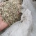 花生秧，价格不高，需要的联系