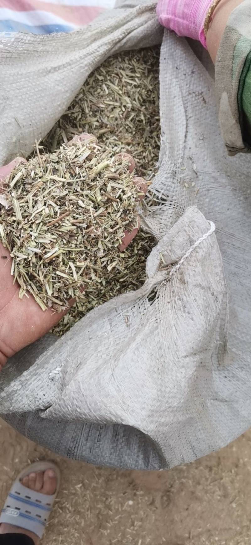 花生秧，价格不高，需要的联系