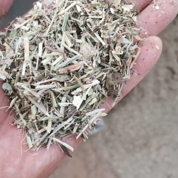 花生秧，价格不高，需要的联系