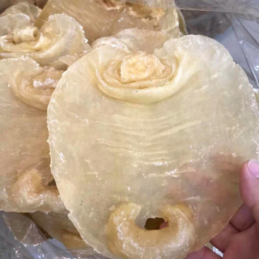花胶白鳘赤嘴鳘肚赤嘴鱼胶干货口感好胶质好月子胶收藏价值高