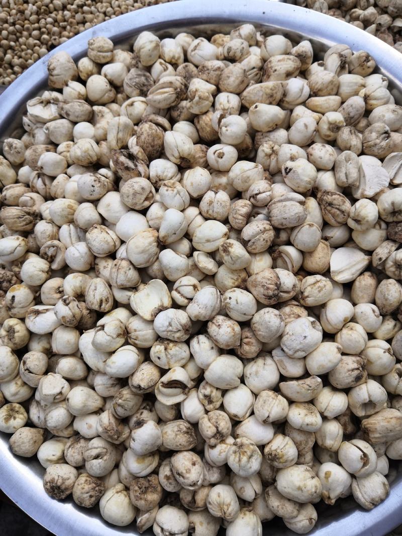 藏贝母伊贝母贝母大全新货免费磨粉各种规格