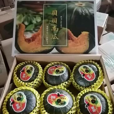 日本惠和一号贝贝南瓜三斤五斤礼盒装日本小南瓜
