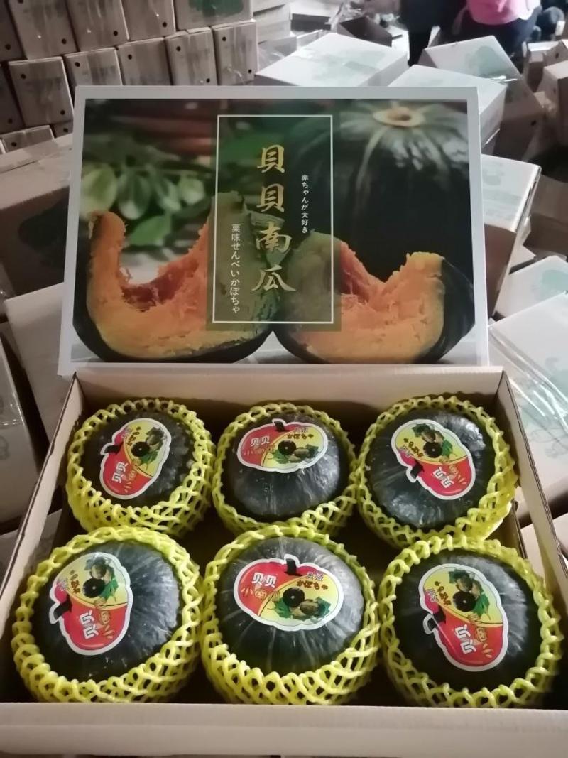 日本惠和一号贝贝南瓜三斤五斤礼盒装日本小南瓜