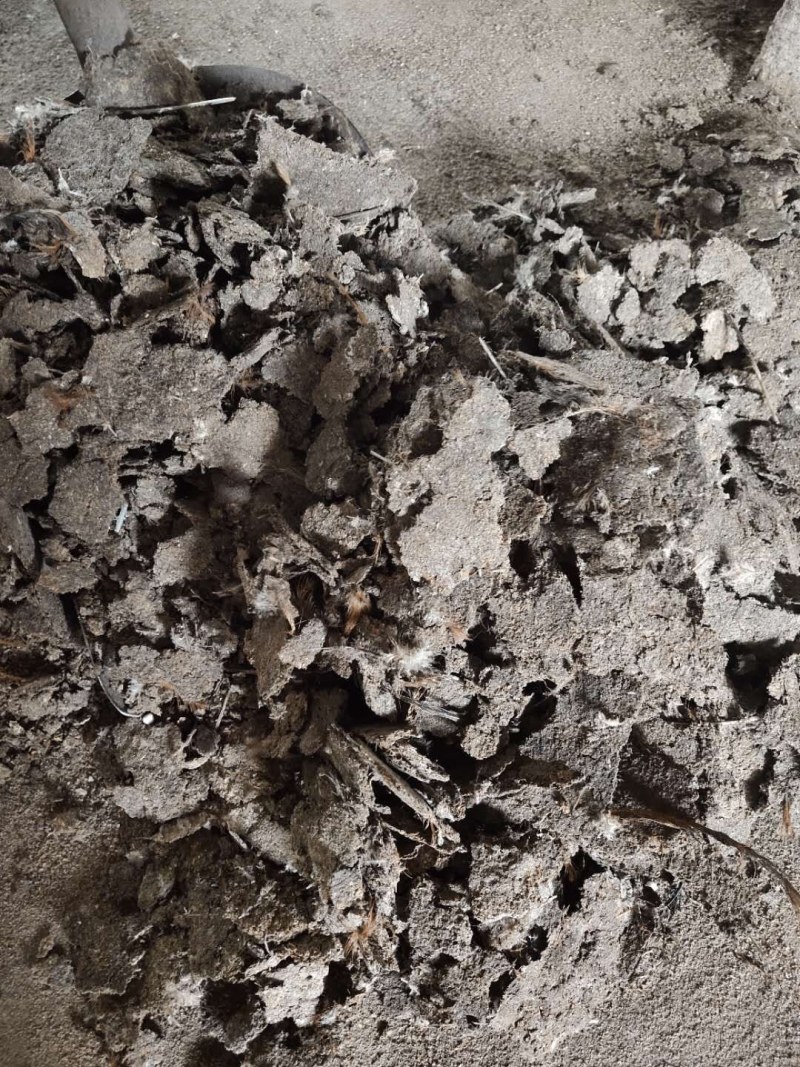 鸡粪，干鸡粪有机肥。