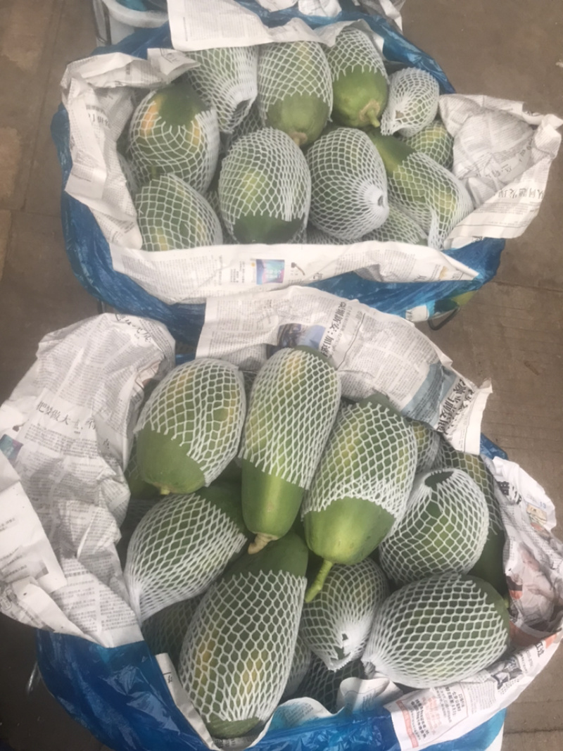 益圆木瓜，合适各大加工厂电商批发市场