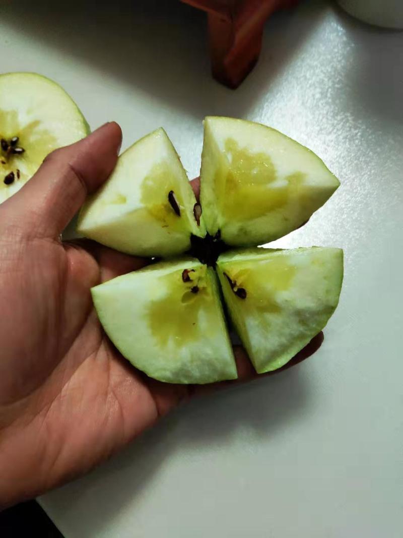 正宗王林苹果基地直发，支持一件代发