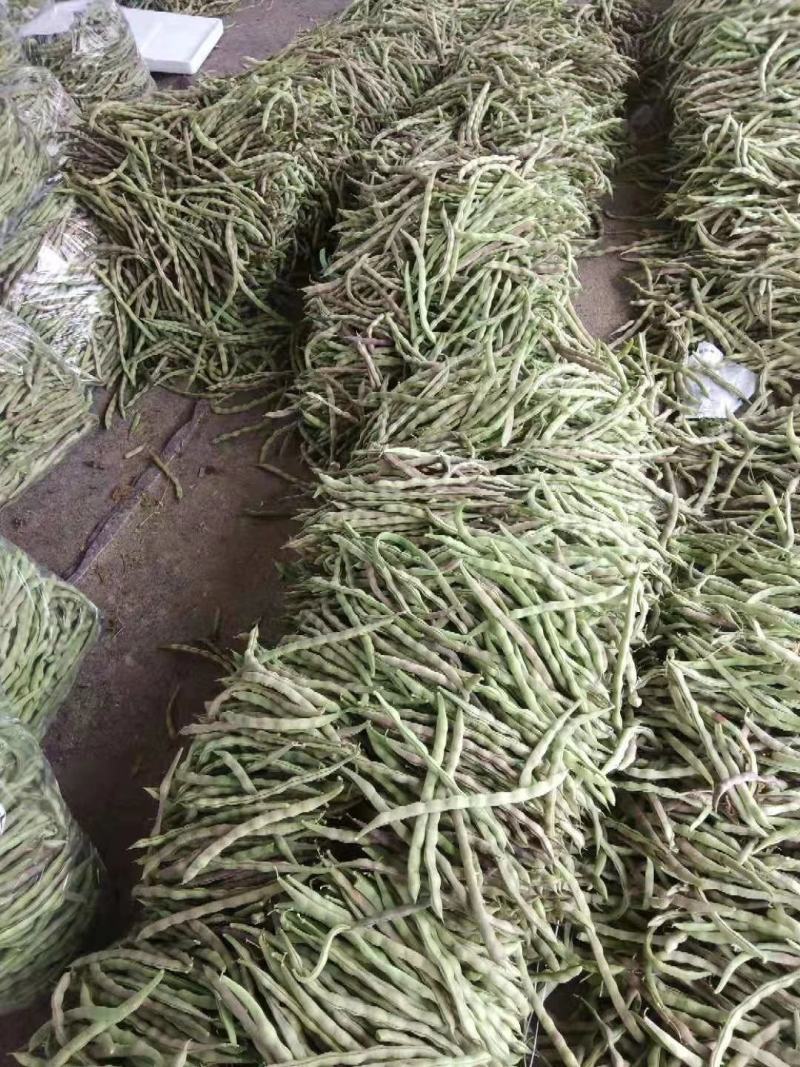 红豆角，九粒红，大灰狼，大量上市，产品同优，，，，，，，
