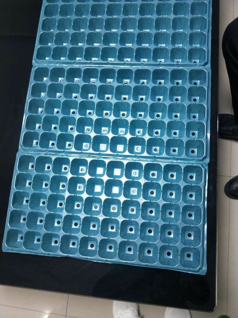 精品穴盘各种型号一手货源