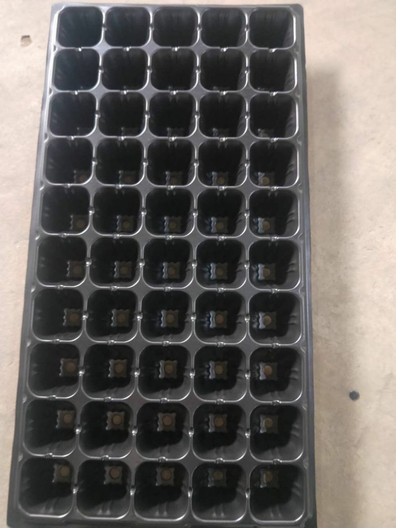 精品穴盘各种型号一手货源