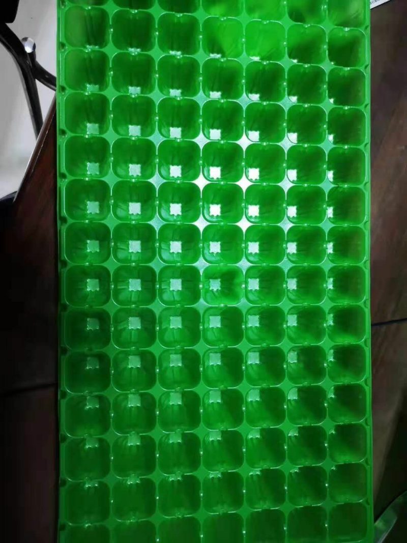 精品穴盘各种型号一手货源
