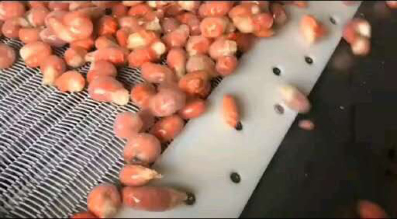 德炎冻虾尾德炎冻虾尾