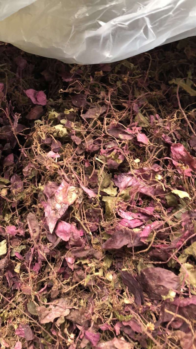风柜草水洗干货无杂质质量保证