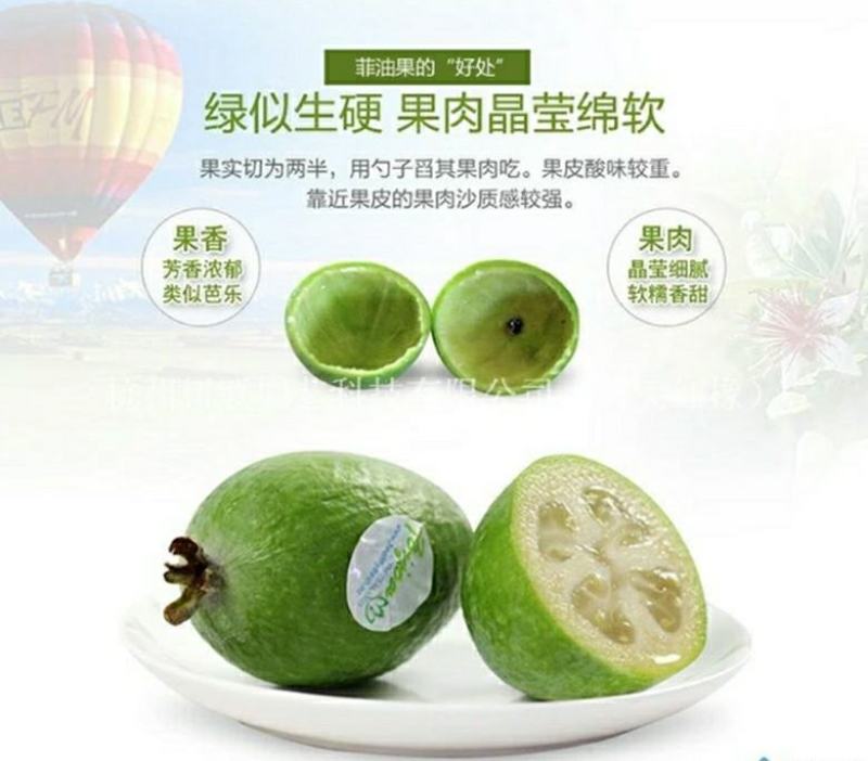 广西菲油果(费约果)苗培育基地批发，法国原产地，品种纯正