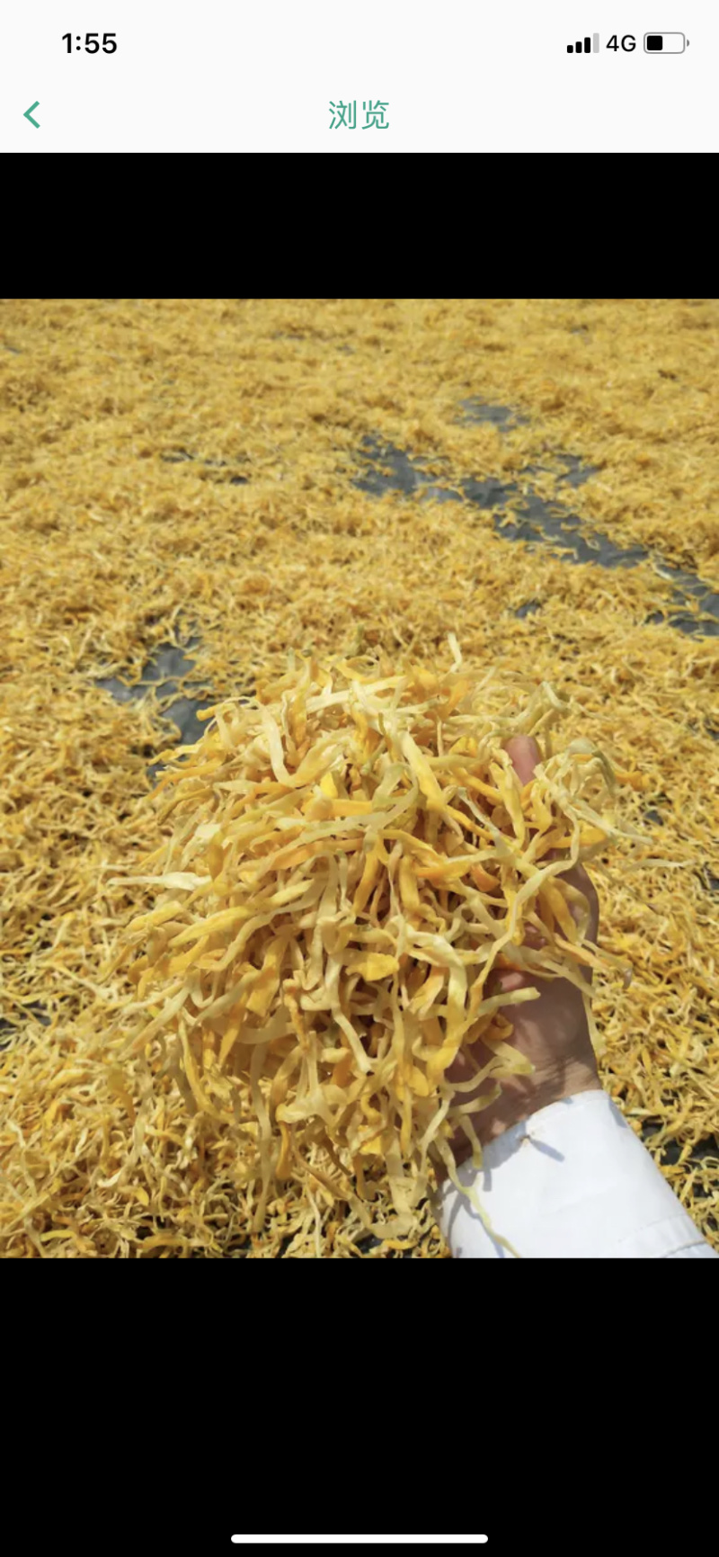 优惠农户菜，轻脆香甜。