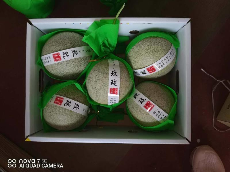 网纹西州蜜小蜜25哈密瓜，潍坊特产