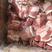 猪五花肉片纯肉切割手续齐全