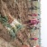兵兵大葱合作社代购代办代收章丘本地大葱精品大葱