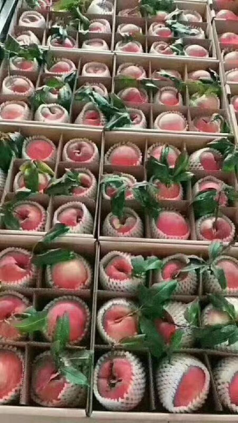 金秋红蜜桃，甜到心里！
