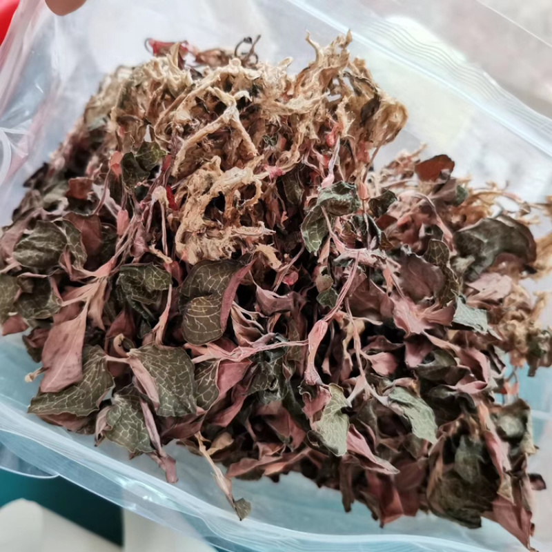 正品金线莲深山原生野生金线莲干品原生一级