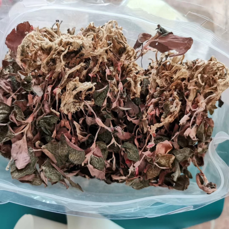 正品金线莲深山原生野生金线莲干品原生一级