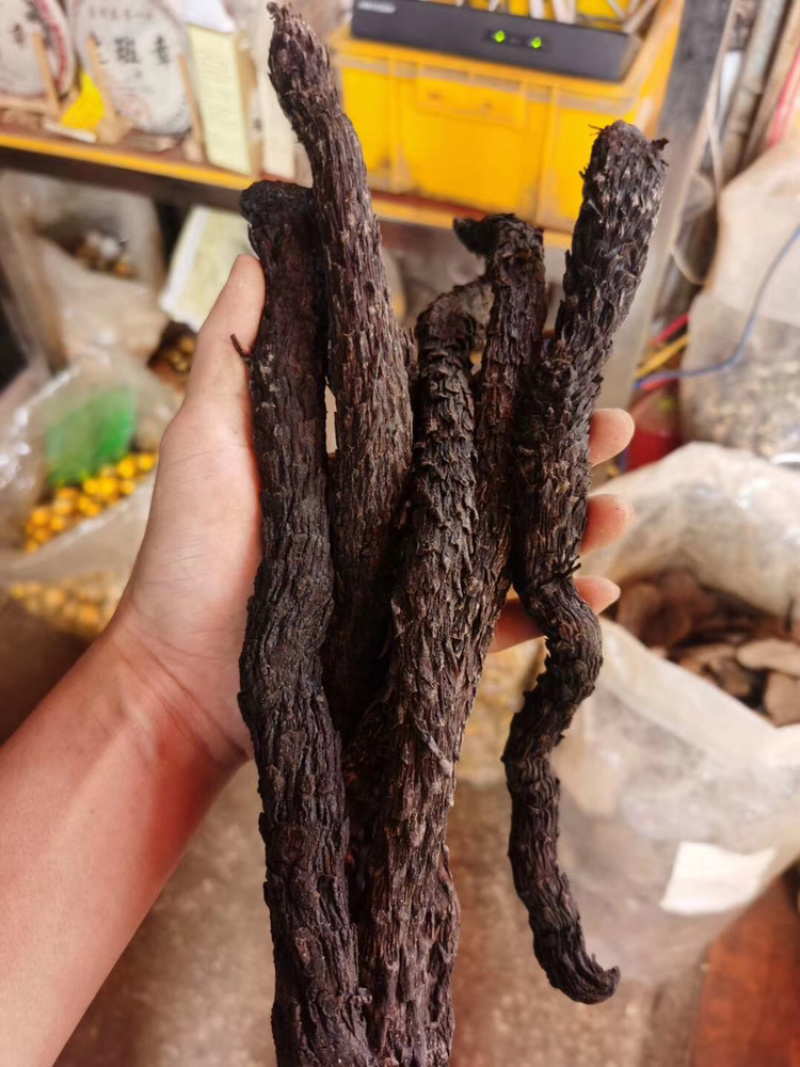 正品肉苁蓉新疆中药材特级男性泡茶酒料丛整根