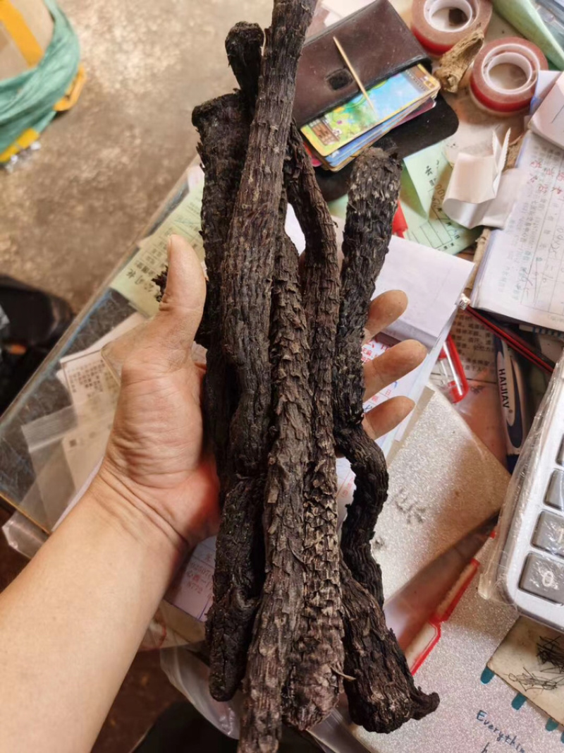 正品肉苁蓉新疆中药材特级男性泡茶酒料丛整根