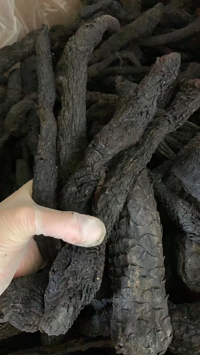 正品肉苁蓉新疆中药材特级男性泡茶酒料丛整根
