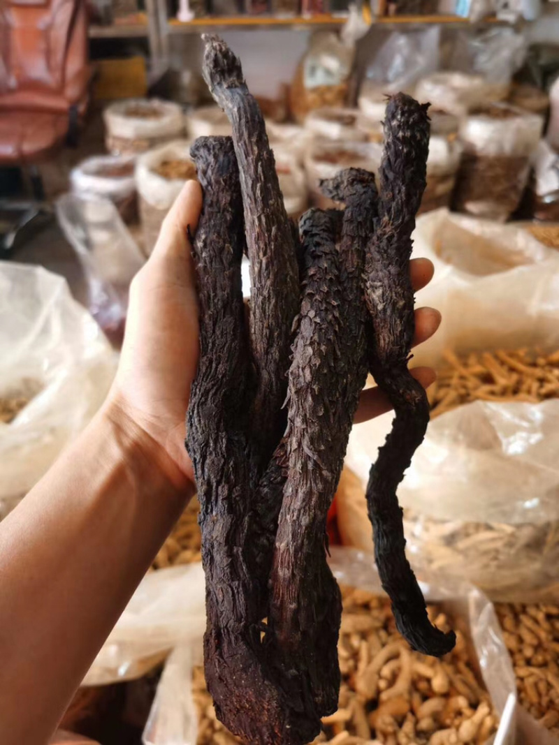 正品肉苁蓉新疆中药材特级男性泡茶酒料丛整根