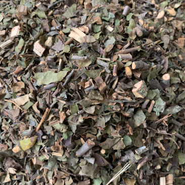 中国南方药都，桑寄生