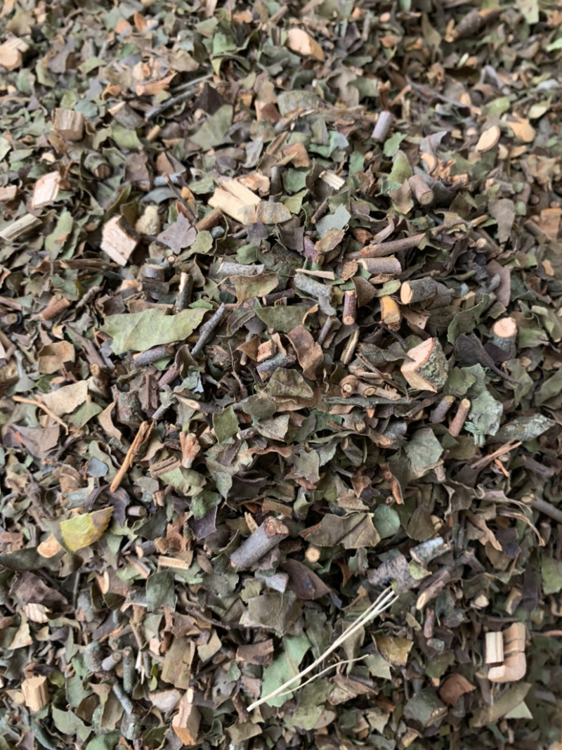 中国南方药都，桑寄生