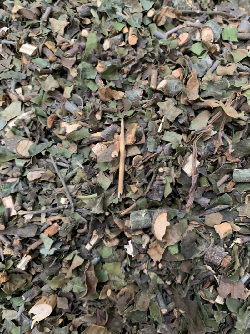 中国南方药都，桑寄生