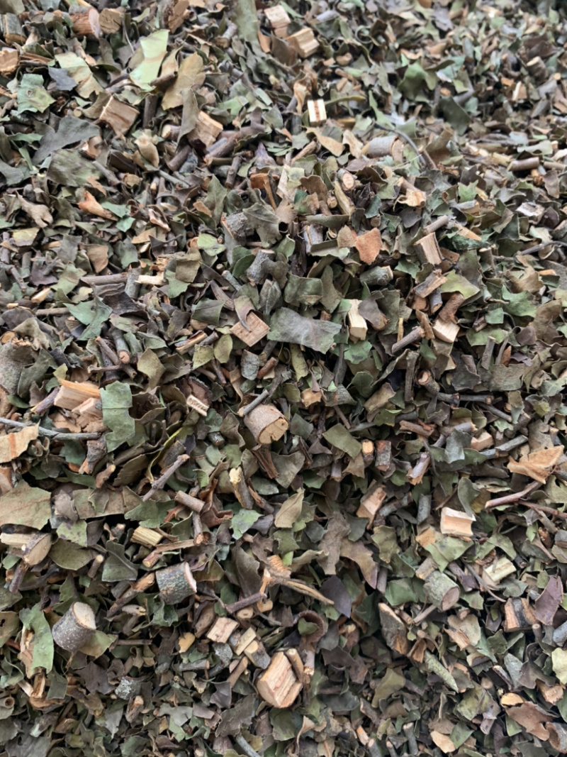 中国南方药都，桑寄生