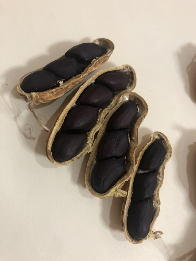 包邮，云南黑花生，新黑花生，黑花生，实物拍摄，可视频看货