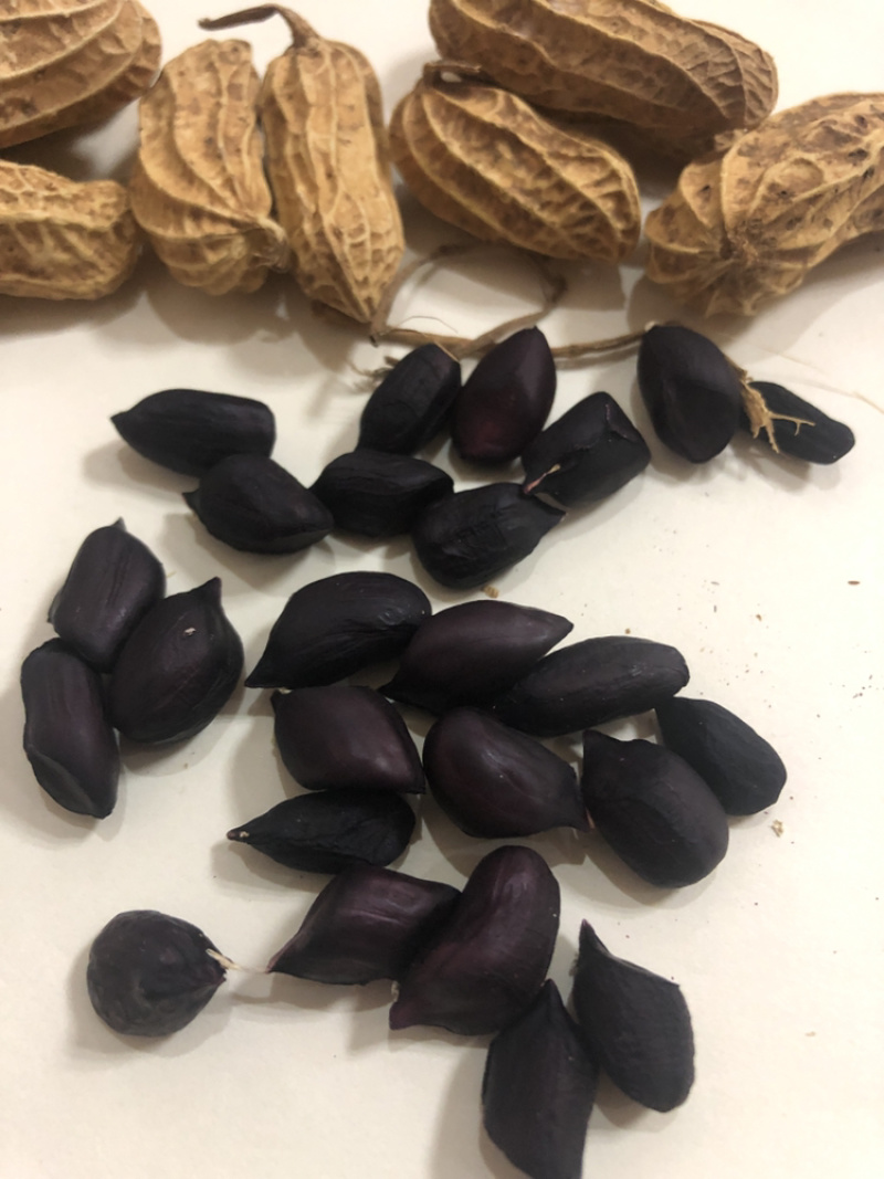 包邮，云南黑花生，新黑花生，黑花生，实物拍摄，可视频看货