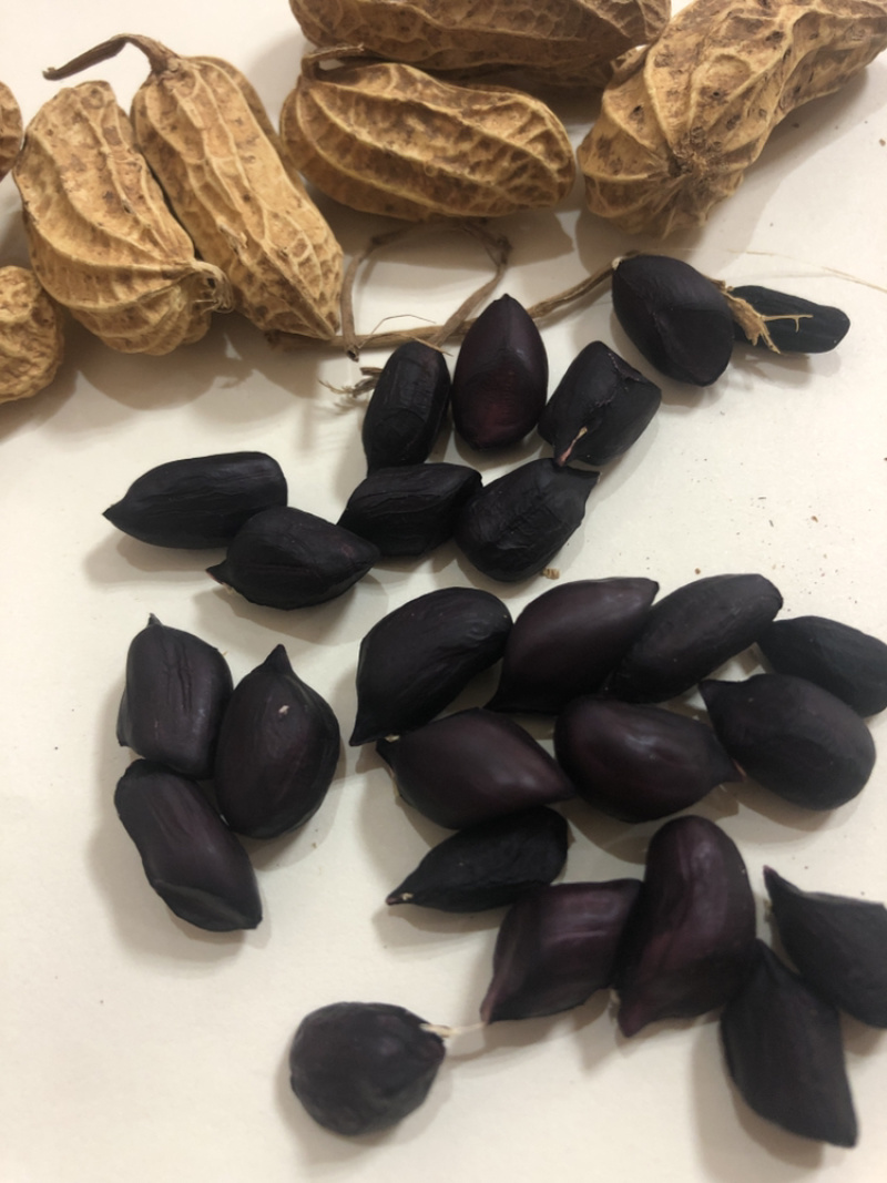 包邮，云南黑花生，新黑花生，黑花生，实物拍摄，可视频看货