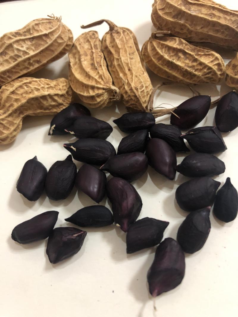 包邮，云南黑花生，新黑花生，黑花生，实物拍摄，可视频看货