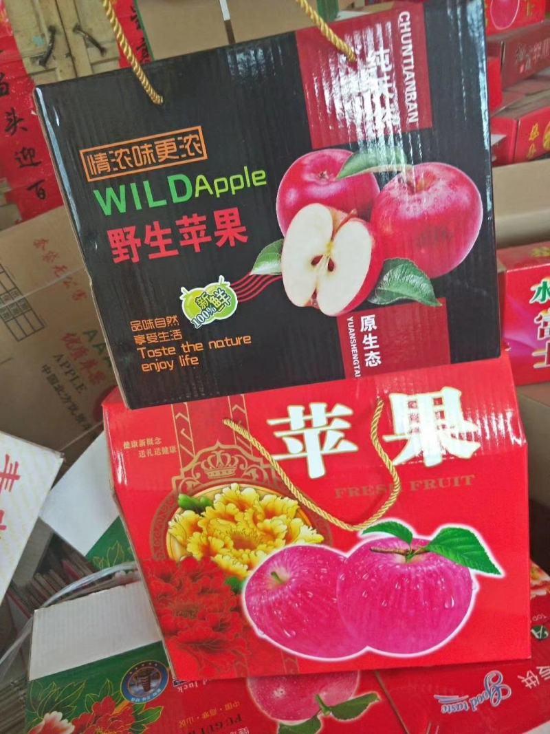 新鲜山东红富士苹果大量上市。新鲜采摘。果园交易