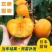 甜脆无核柿子树嫁接苗庭院盆栽南北方种植易活